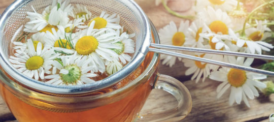 bienfaits-de-la-camomille-en-the