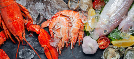 Fruits de mer
