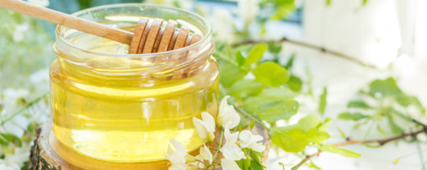 Le miel d'acacia
